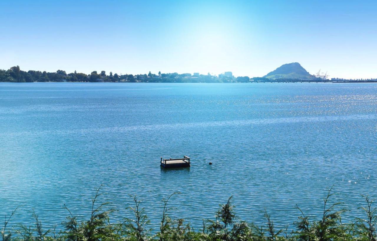 Apartment Near The Water Tauranga Kültér fotó